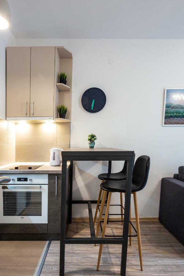 Modern Naive Downtown With Free Private Garage-Fast Wi-Fi Lägenhet Novi Sad Exteriör bild